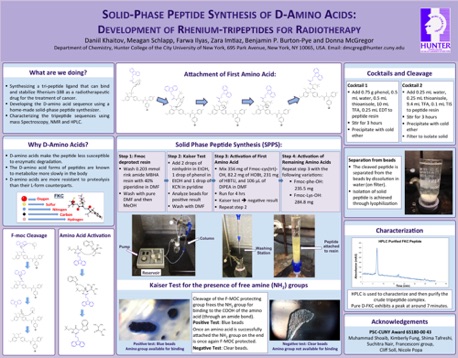 Solid Phase Peptide Synthesis of D-Amino Acids
2015 Solid Phase Peptide Synthesis of D-Amino Acids
2015